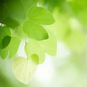 Miljövänlig städning jönköping